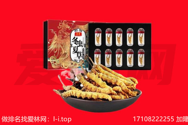 龙子湖区回收虫草.jpg